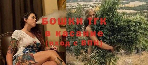 дмт Богородск