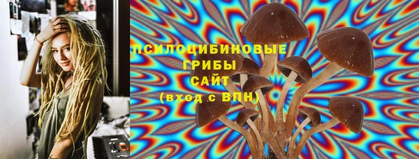 мет Богданович