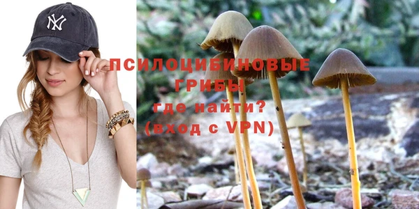 мет Богданович