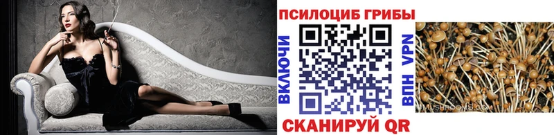 Галлюциногенные грибы Psilocybe  цены   Тюмень 